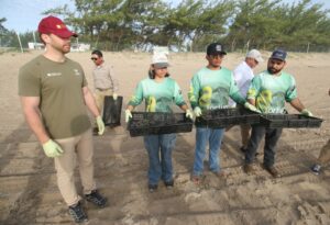 Consolida Tamaulipas liderazgo en la protección de la tortuga lora